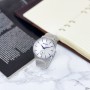 Мужские часы Guardo 012473-(2)-2 Silver-White-Blue