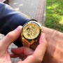 Мужские часы Forsining 8130 All Gold Automatic